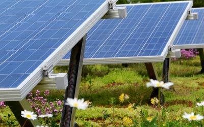 Panneau photovoltaïque et écologie