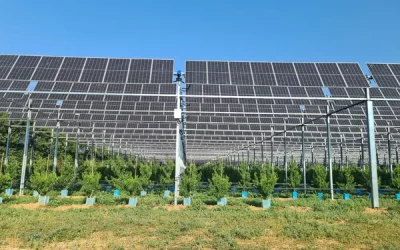 Des arbres fruitiers à l’ombre des panneaux solaires à Étoile-sur-Rhône