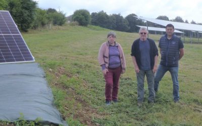 Des panneaux photovoltaïques pour protéger des poules à Plouguenast-Langast