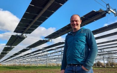 Cet éleveur fait pâturer ses vaches sous 5 192 panneaux photovoltaïques