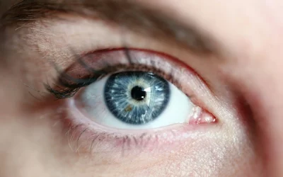 Des panneaux solaires dans les yeux pour restaurer la vue, ces scientifiques y travaillent