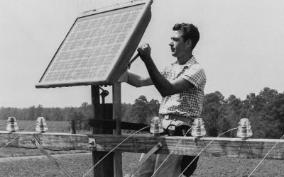 Les premiers panneaux solaires raccordés en France en 1992 produisent encore 79,5 % de leur puissance initiale
